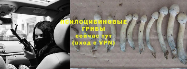дживик Дмитров