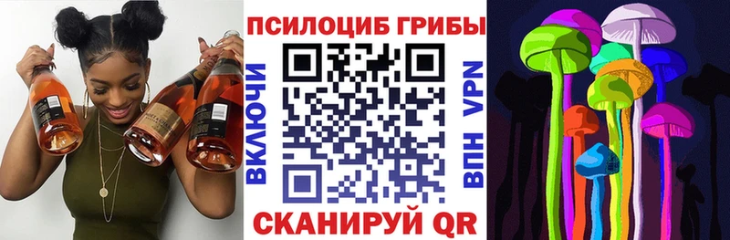 Купить  Бирюсинск  Галлюциногенные грибы прущие грибы 